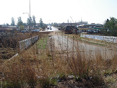 Hastings Ndlovu Shooting Site