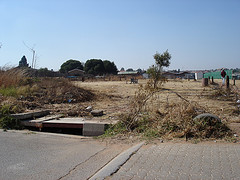 Overgrown Park Diepkloof